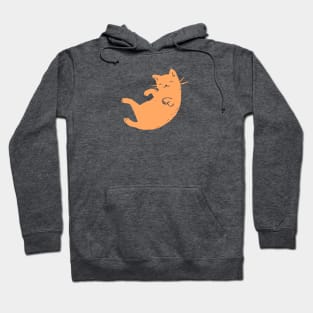 Orange Cat Sleeping Hoodie